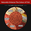 Horizone Tropical Fish Food Pellets  - 180g