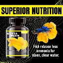 Horizone Eagle Betta Plus - 100ml