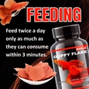 Horizone Eagle Guppy Flakes - 100ml