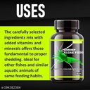 Horizone Eagle Shrimp Algae Food - 100ml