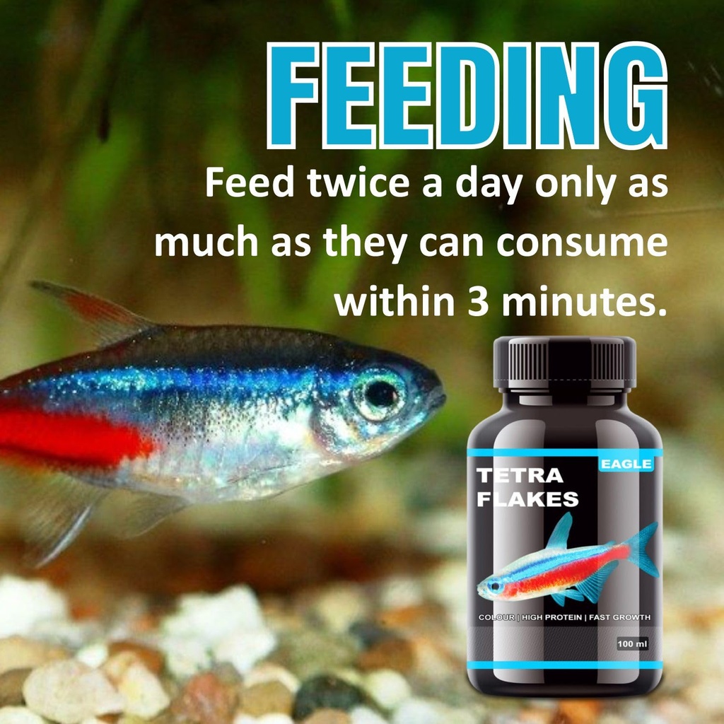 Horizone Eagle Tetra Flakes - 100ml