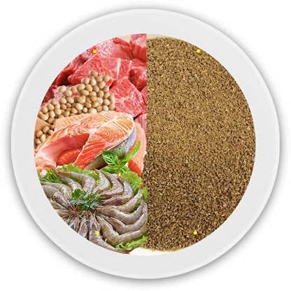 Horizone Royal Guppy Food - 22g