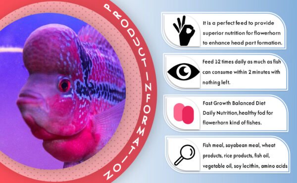 Horizone Royal Flowerhorn Food - 100g