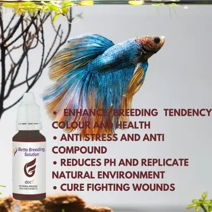 Horizone Doct Betta Breading Solution - 30ml