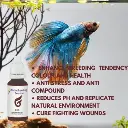 Horizone Doct Betta Breading Solution - 30ml
