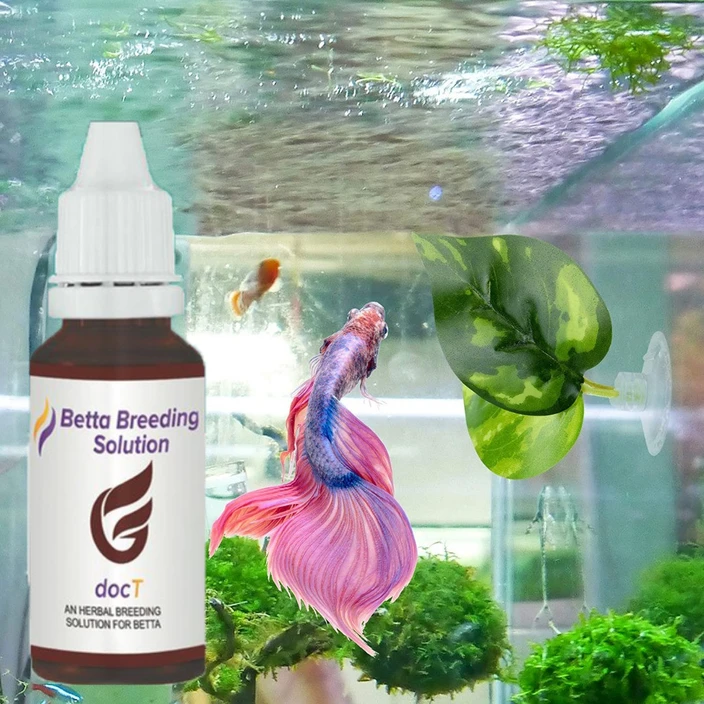 Horizone Doct Betta Breading Solution - 30ml