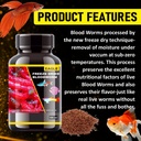 Horizone Eagle Freeze Dried Blood Worms - 100 ml