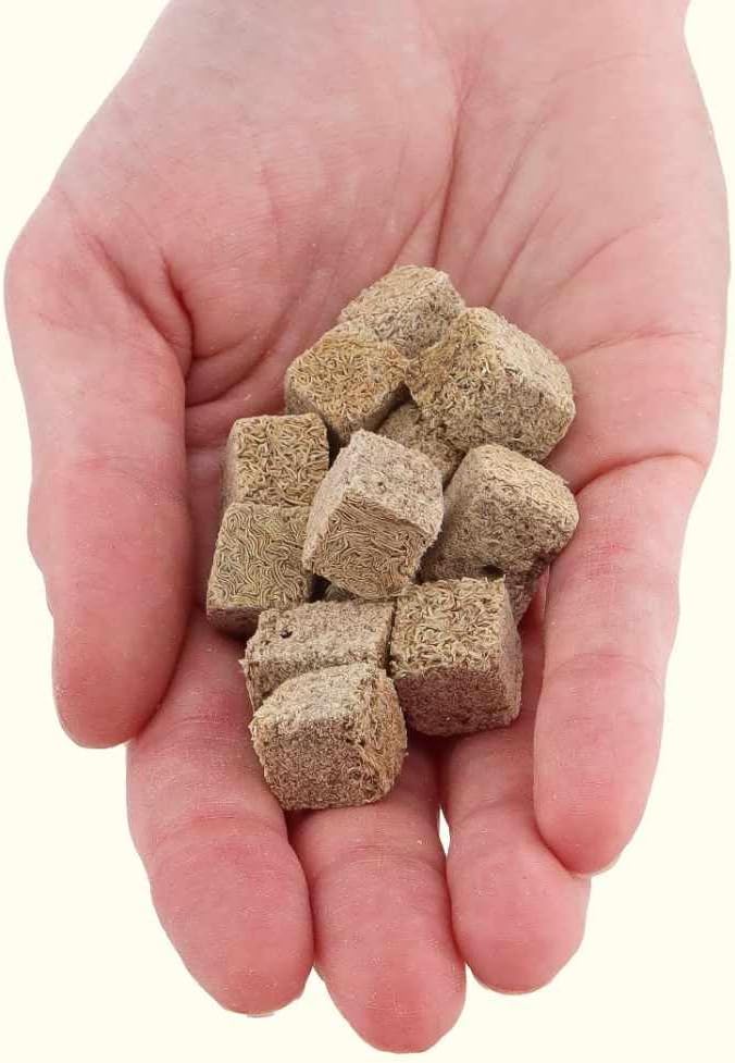 Horizone Eagle Freeze Dried Tubifex Worms - 100 ml