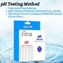 Horizone Zera PH Test Kit-250 Test