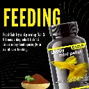 Horizone Eagle Guppy Mini Pallets 45g