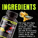 Horizone Eagle Micro Pallets 45g