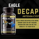 Horizone Eagle Decap Artemia 25g
