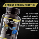 Horizone Eagle Decap Artemia 25g