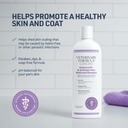 Synergy Labs Veterinary Formula Clinical Care Antiparasitic & Antiseborrheic Shampoo For Dogs 473ml[Volume - 473ml]