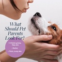 Synergy Labs Veterinary Formula Clinical Care Antiparasitic & Antiseborrheic Shampoo For Dogs 473ml[Volume - 473ml]