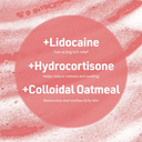 Synergy Labs VFCC Hot Spot & Itch Relief Medicated Conditioner 473ml (16oz) [Volume - 473ml]