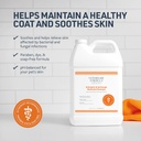 Synergy Labs VFCC Antiseptic & Antifungal Medicated Shampoo 3.79L (1 gallon) [Volume - 3.79 L]