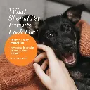 Synergy Labs Veterinary Formula Clinical Care Antiseptic & Antifungal Spray For Dogs & Cats 236ml[Volume - 236ml]