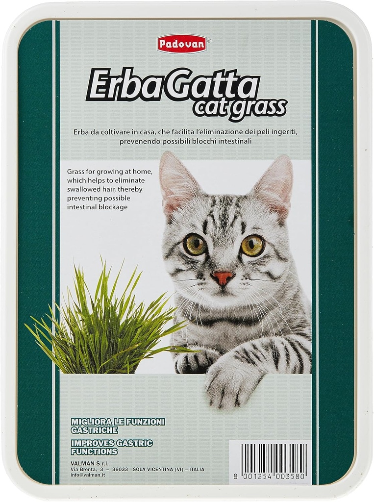 Padovan Erbagatto Cat Grass