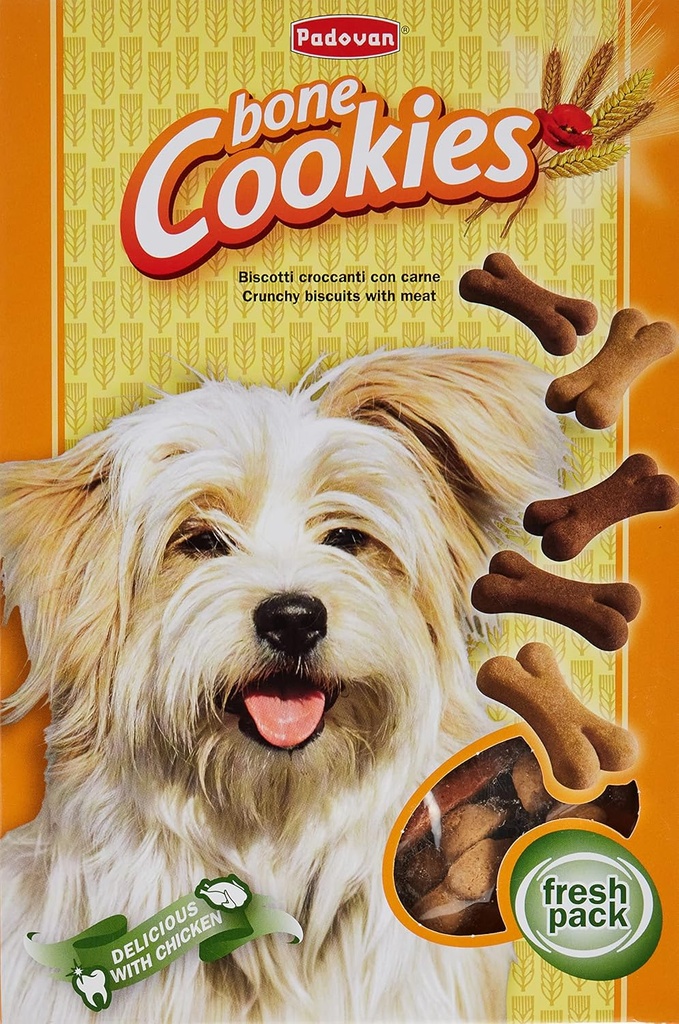 Padovan Cookies Bone 500gm(Dog Biscuit)