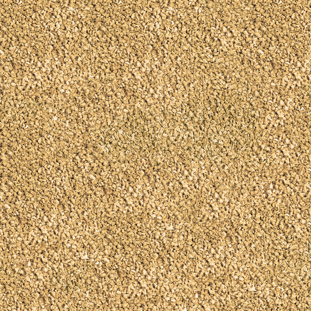 Sera Betta Granules 50 ml