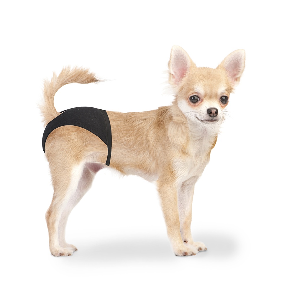 Duvo+ Dog Pants 24-31cm / 32 - 39cm  / 40 - 49cm[Length - 32 - 39cm]