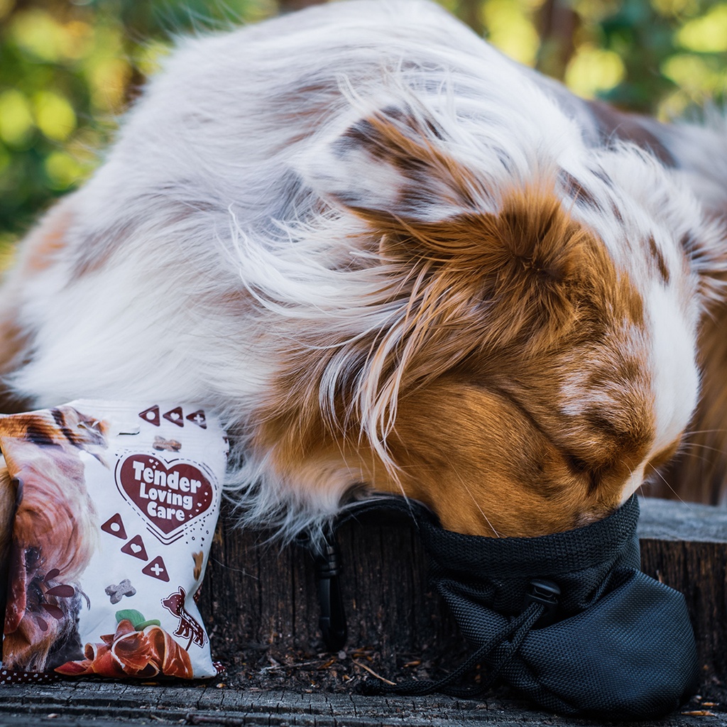 Duvo+ Soft Snack Salmon 100g