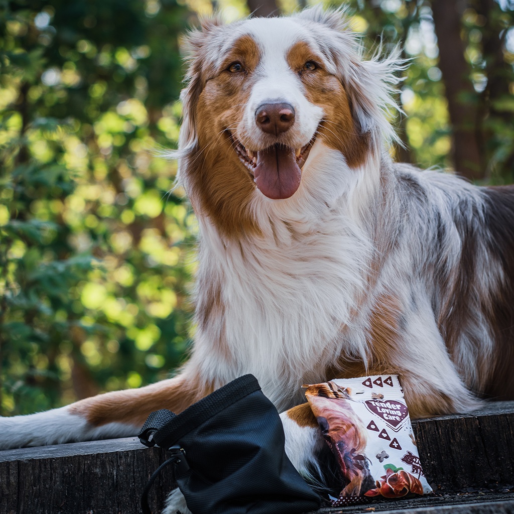 Duvo+ Soft Snack Salmon 100g