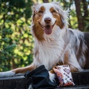 Duvo+ Soft Snack Salmon 100g