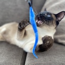 Duvo+ Playing Rod Catchy Snake Mix Mixed Colors - 45,5x2x1cm - Box Qty -16 Pcs