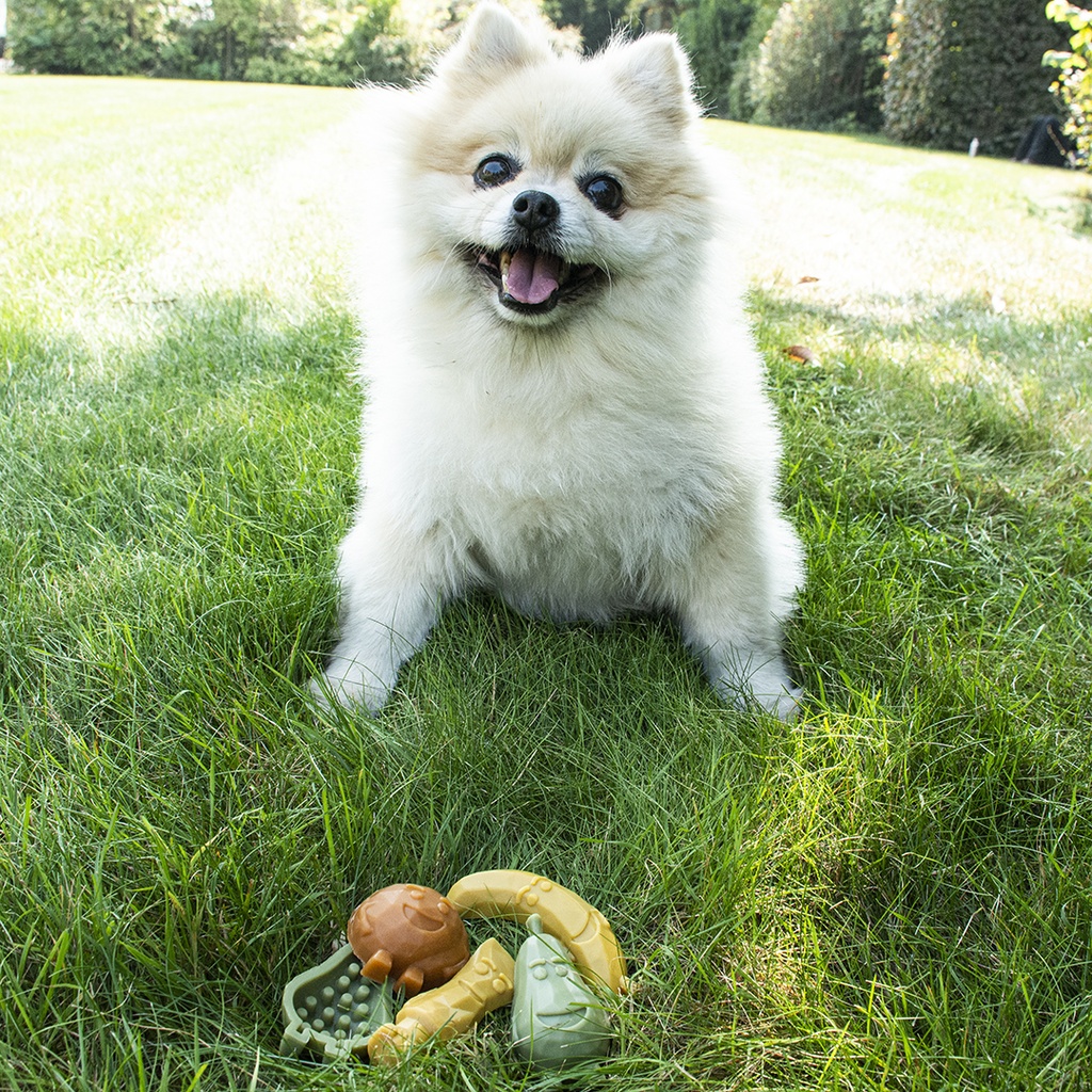 Duvo+ Garden Bites Fruity Friends 7cm - 18Pc - Mix Colors