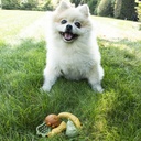 Duvo+ Garden Bites Fruity Friends 7cm - 18Pc - Mix Colors