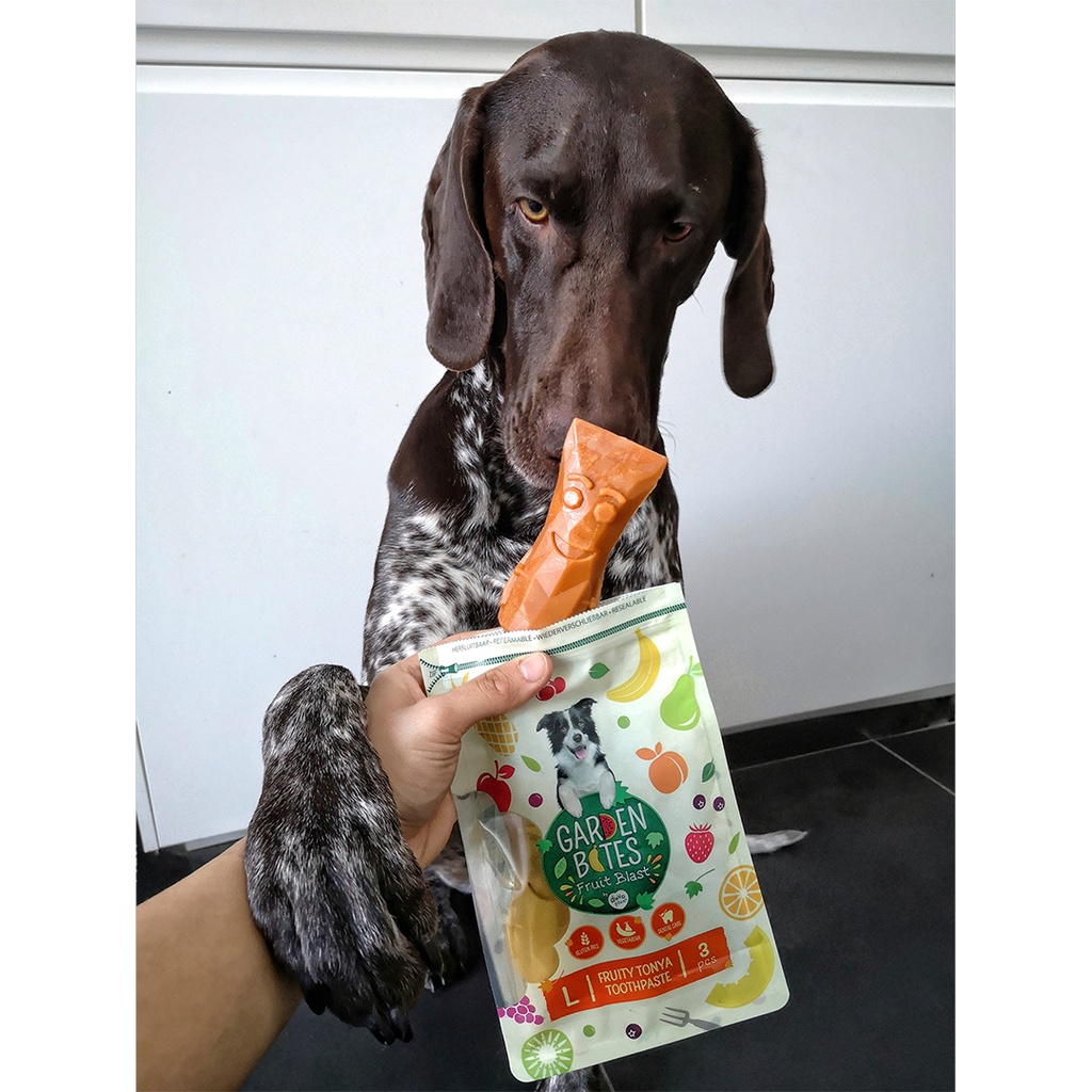 Duvo+ Garden Bites Fruity Tonya Toothpaste 7.8cm - 18Pcs - Mix Colors