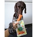 Duvo+ Garden Bites Fruity Tonya Toothpaste 7.8cm - 18Pcs - Mix Colors