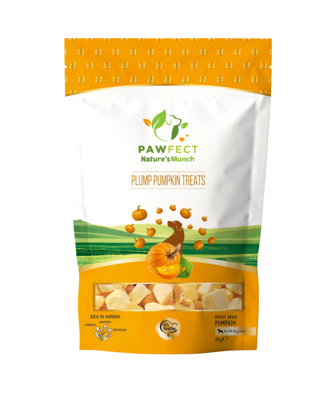 Pawfect Natures Munch Freeze-Dried Dog Treats Pumpkin 20g