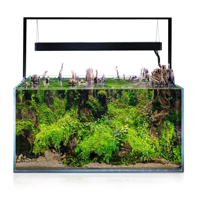 Aquael UltraScape Forest Aquarium[Volume - 60L]