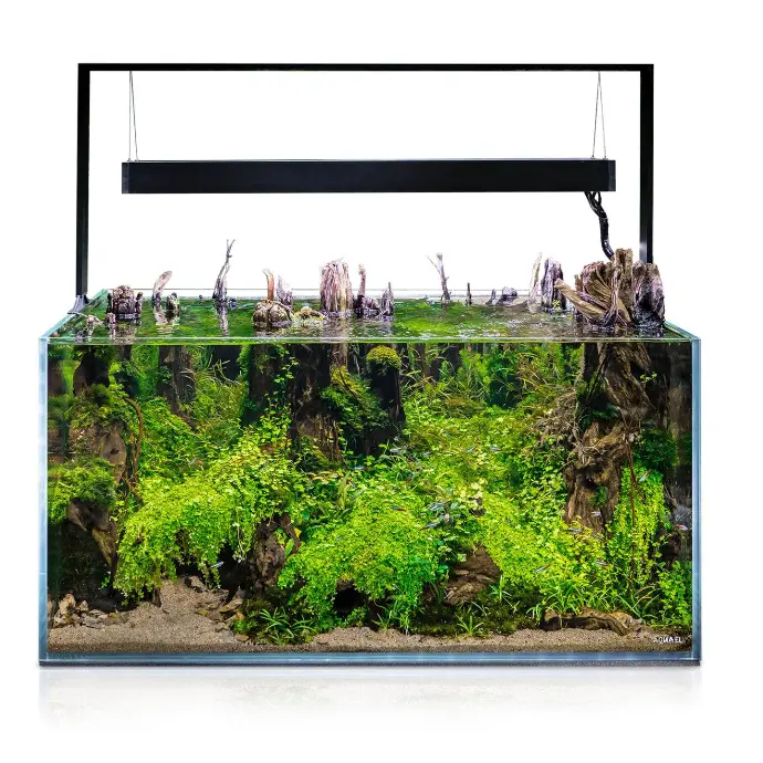 Aquael UltraScape Forest Aquarium[Volume - 90L]