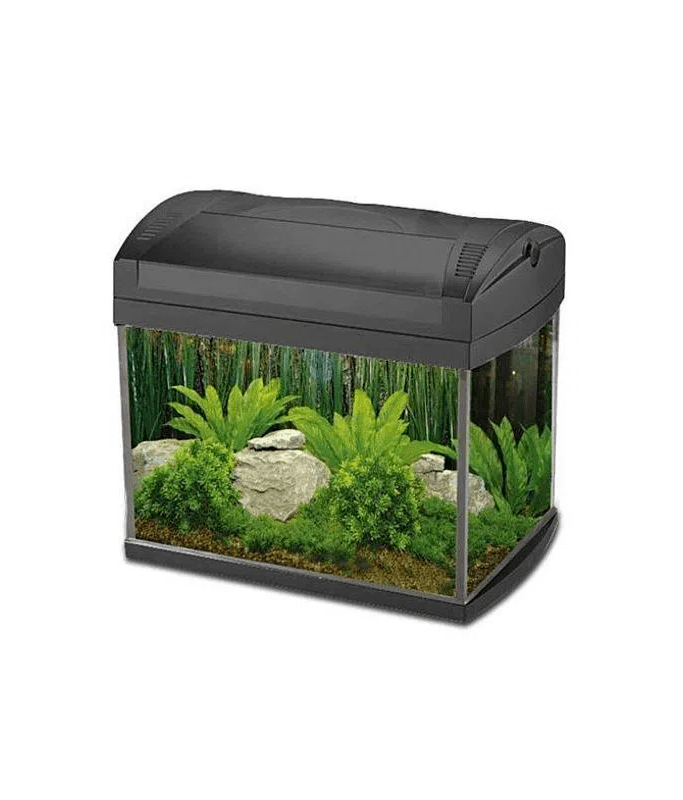 Boyu Aquarium ZJ-Series(Without Cabinet)[Dimension - 535x323x352mm]