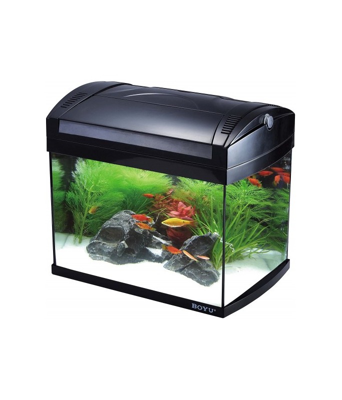 Boyu Aquarium ZJ-Series(Without Cabinet)[Dimension - 628x370X516mm]