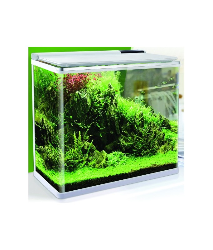 Karis Aqua Haven Premium Aquarium Series[Dimension - 38.5 x 24 x 39.5cm]