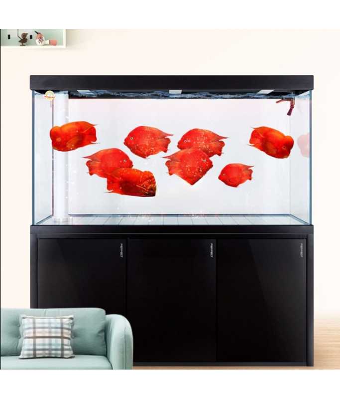 Karis Aquarium LYP-Series[Color - Black, Dimension - 1200 x 360 x 1600mm]