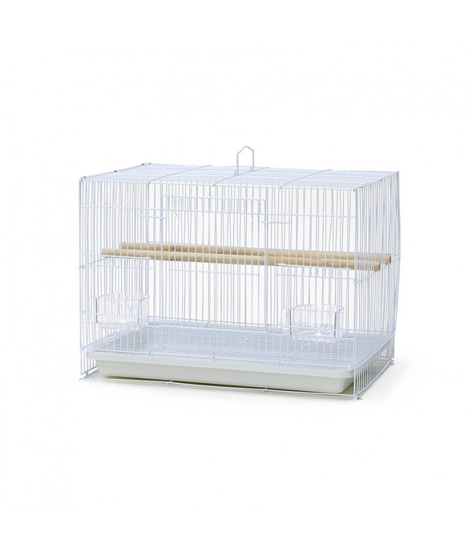 Dayang Bird Cage (10 Pcs/Box ) - 46 x 31 x 33cm[Dimension - 46 x 31 x 33cm]