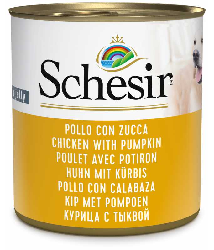 Schesir Dog Wet Food-Chicken With Pumpkin[Weight - 285g]