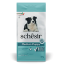 Schesir Medium Puppy with Chicken[Weight - 12kg]