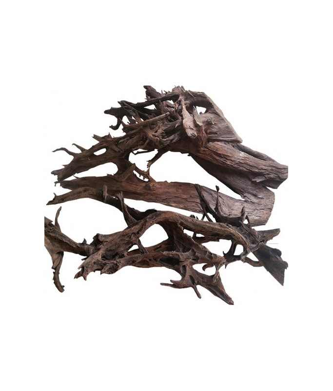 KW Zone Aquarium Drift Wood XXL Mangrove Root