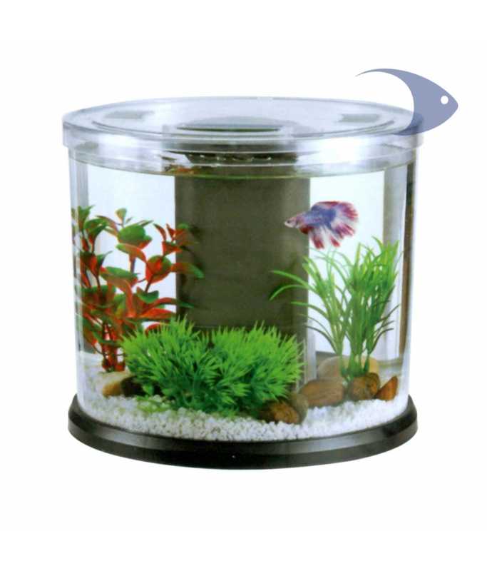 Boyu Dy Series Desktop Aquarium - Mixed Colors[Dimension - 23.6 x 20.4 cm]