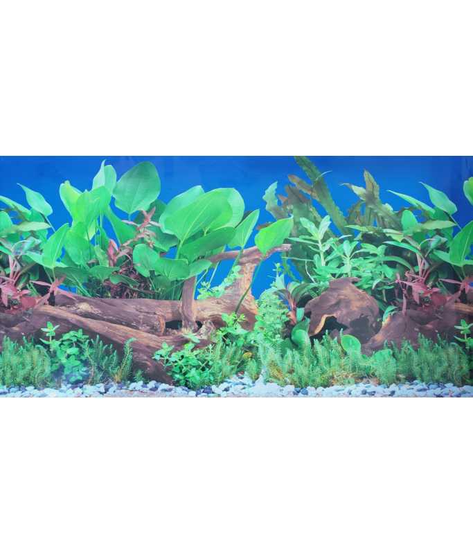 KW Zone Aquarium Backscreen (Picture) 24"x15m[Model - F3]