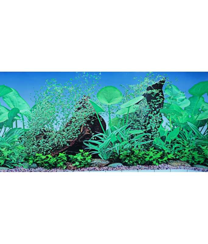 KW Zone Aquarium Backscreen (Picture) 12"x15m[Model - F8]