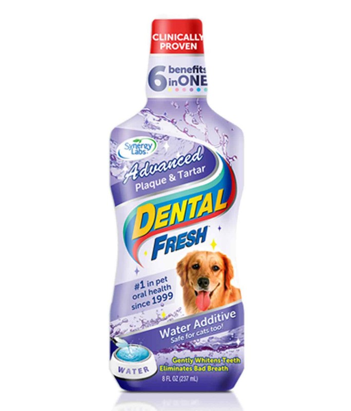 Synergy Labs Dental Fresh Plaque & Tartar - Dog 503ml[Volume - 503ml]