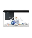 Pawgether GR-2 Desktop Aquarium 450x250x325mm (30L)